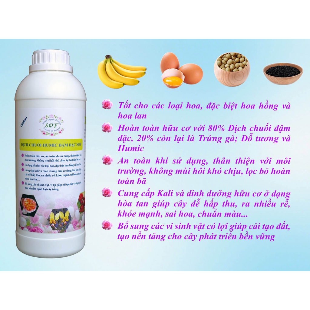 Dịch chuối Humic SOF 1000ml (Phân bón hoa hồng, hoa lan…)