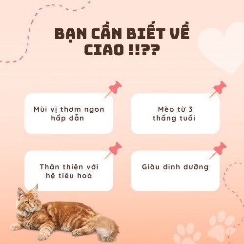Pate Ciao gói 60g cho Mèo - đủ 6 vị