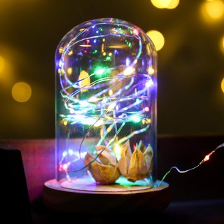 [ĐẸP - SIÊU RẺ - CÓ SẴN] Đèn LED sợi đom đóm Decor siêu đẹp - Trang trí tranh vải, nhà cửa