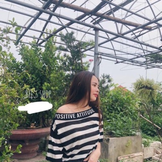 Áo len kiểu