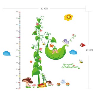 Decal trang trí thước đo Cây Hạt Đậu thần cho Bé