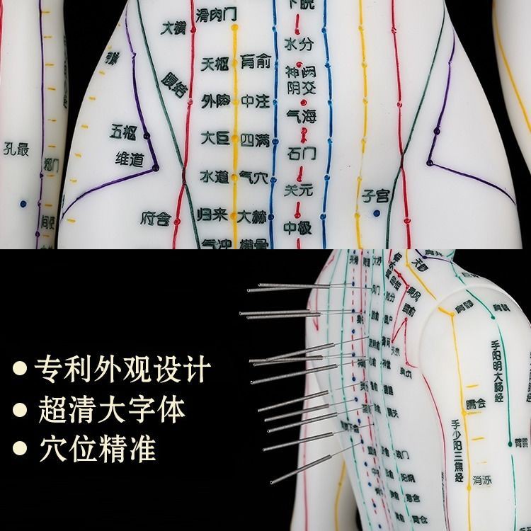 ◇❄Mô Hình Châm Cứu Cơ Thể Người Bằng Đồng Thau Kiểu Trung Hoa