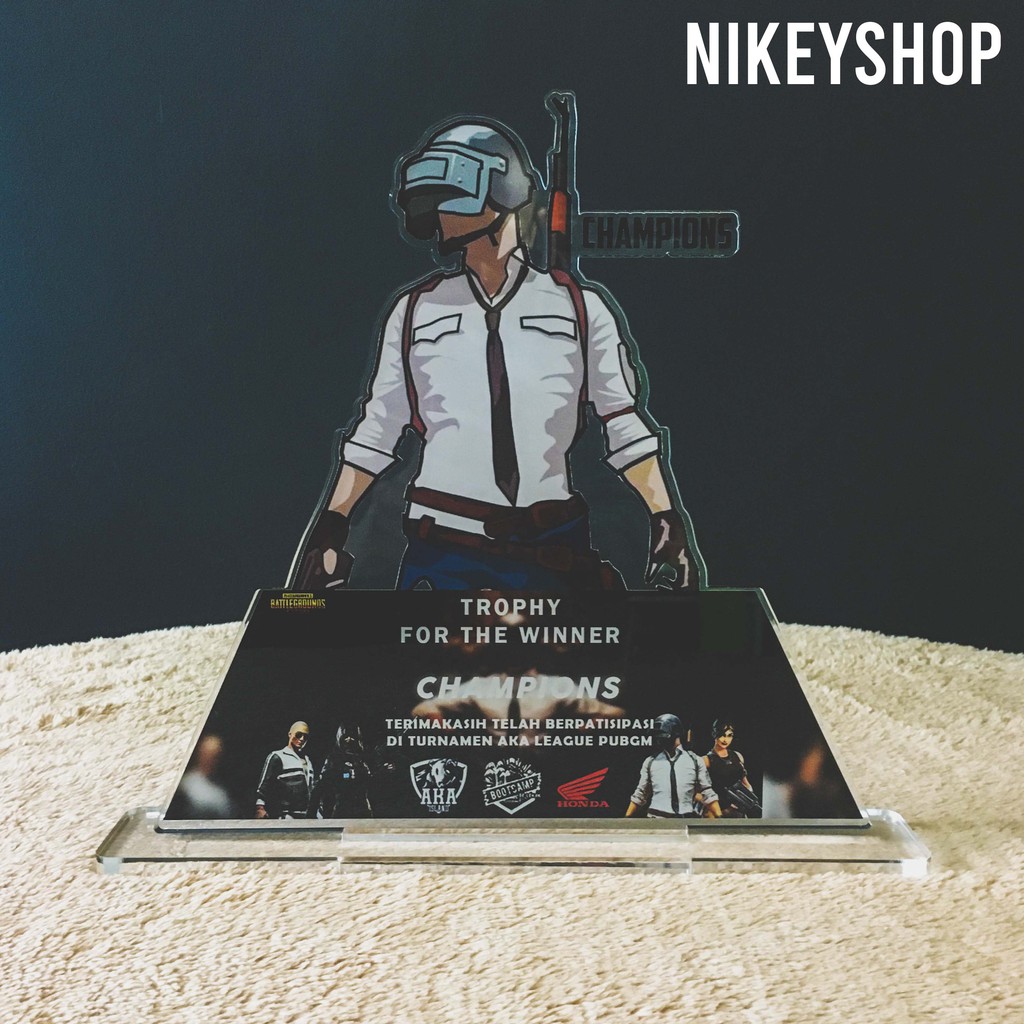 Mô Hình Nhân Vật Game Pubg 20x15cm 0.8cm