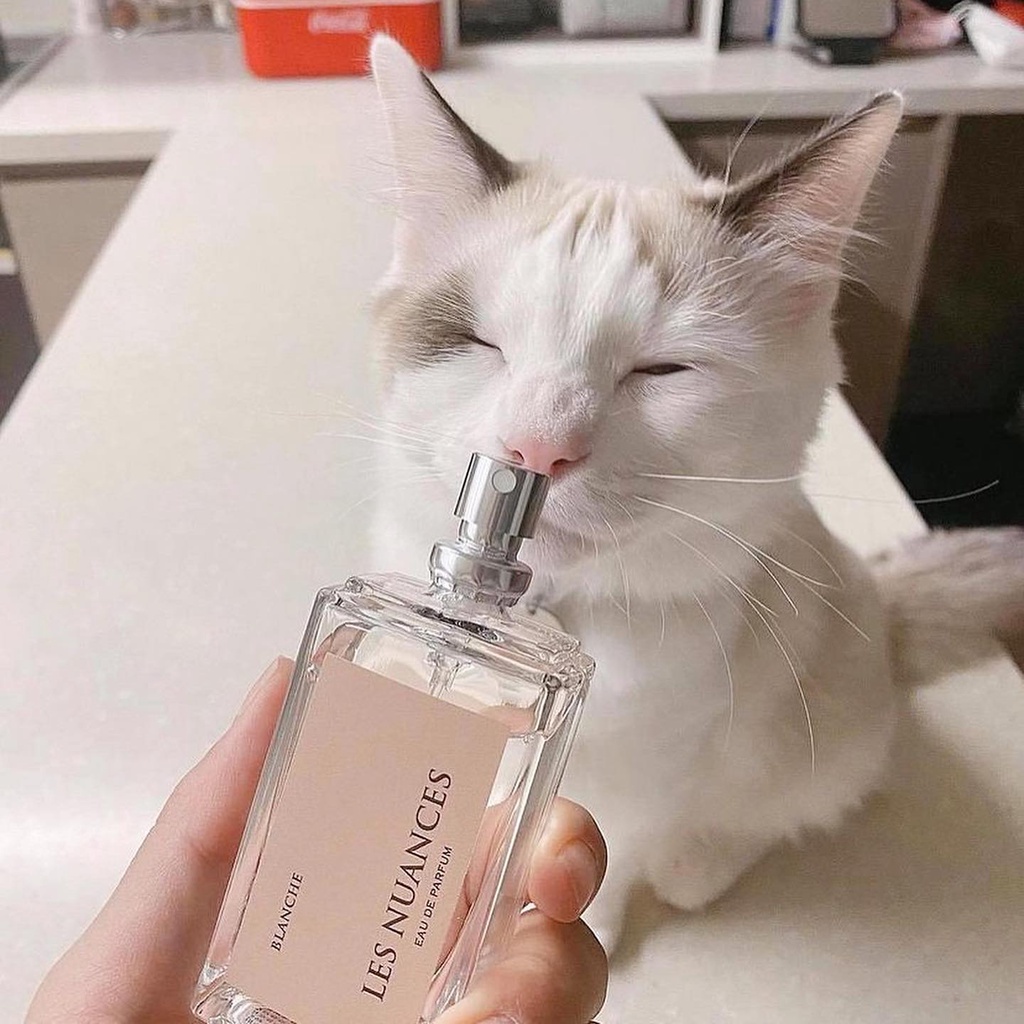 Nước hoa Les Nuances Hàn 30ml