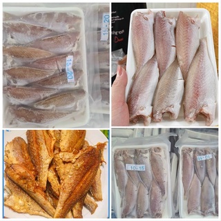 Cá Đù Một Nắng Khay 550g Cá To Nguyên Con Loại 1 Cực Ngon | Giao Siêu Tốc HCM
