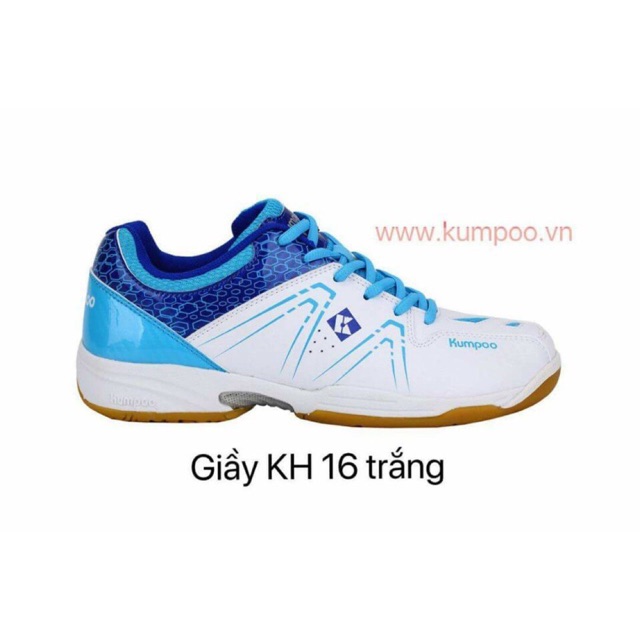 Giày cầu lông 