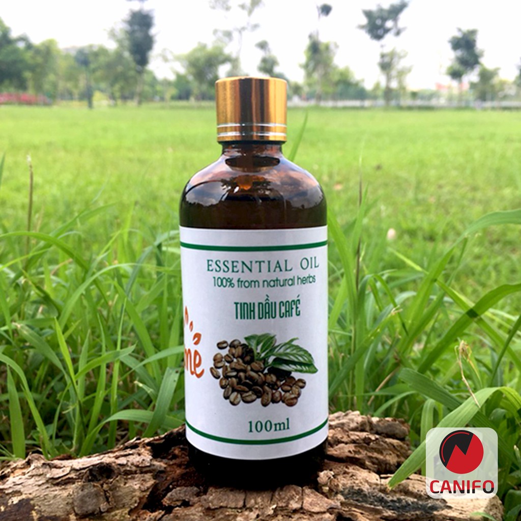 Tinh dầu Cafe CANIFO (100ml) nguyên chất, Tinh Dầu Cà Phê Treo Xe ô tô, giúp khử mùi oto, Thơm phòng ngủ, khách sạn