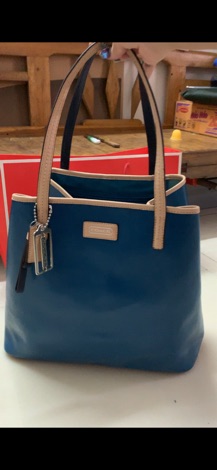 Túi COACH auth neverfull