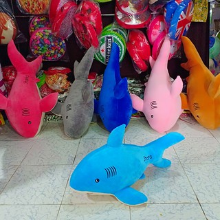 CÁ MẬP NHỒI BÔNG