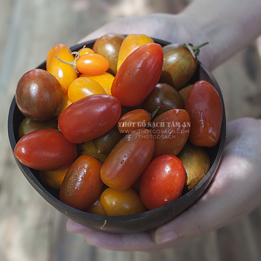 Chén Dừa, Muỗng Dừa Thân Thiện Môi Trường | BigBuy360 - bigbuy360.vn