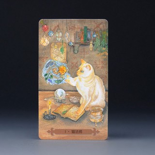 Bộ bài mystical cat tarot