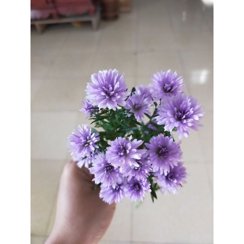 Combo 9 màu hoa thạch thảo