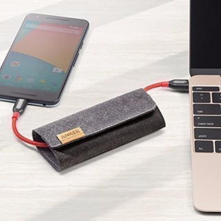 Cáp Anker PowerLine+ USB-C ra USB-C 2.0 - Dài 0.9m - A8187