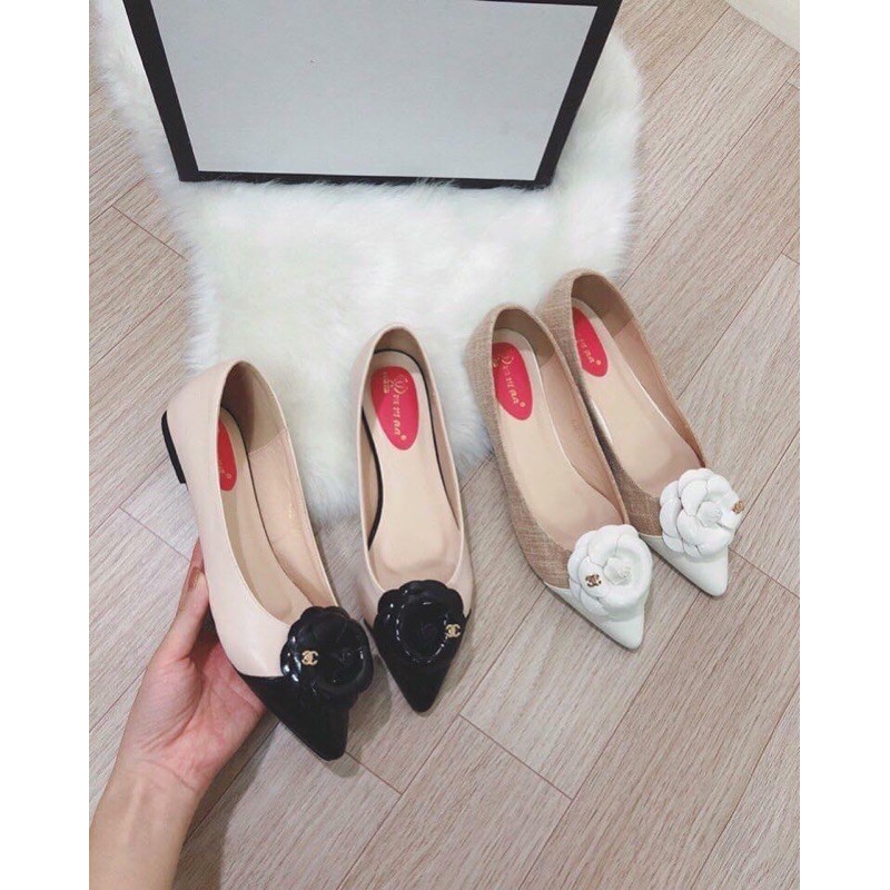 SALE OFF BÚP BÊ MŨI NHỌN HOA TRÀ