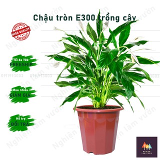 Combo 20 chậu nhựa e300 trồng hoa cây cảnh kt 26x23cm