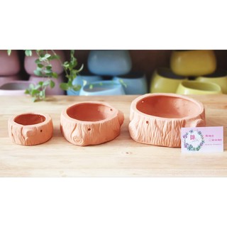 Chậu đất nung hình gốc cây (có lỗ treo)