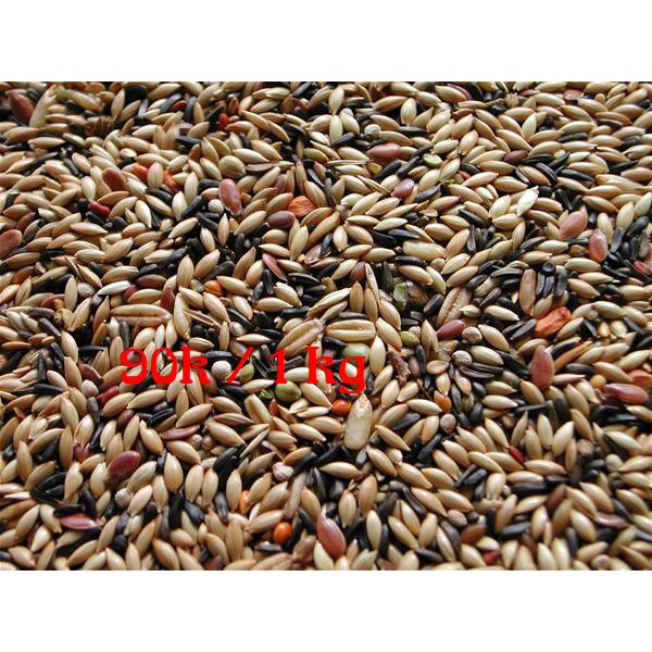 Hạt láng , bỉ dành cho yến hót ( 1kg )