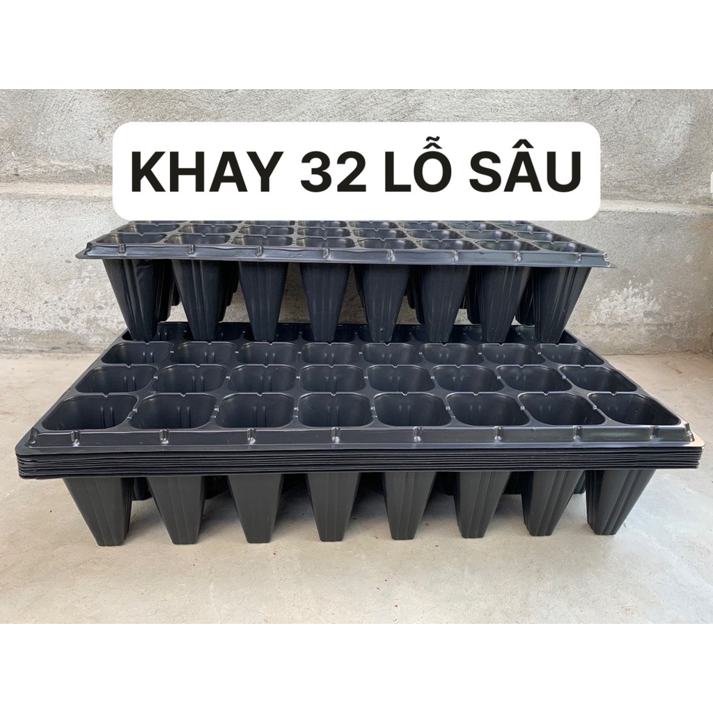 COMBO 10 KHAY ƯƠM 32 LỖ SÂU