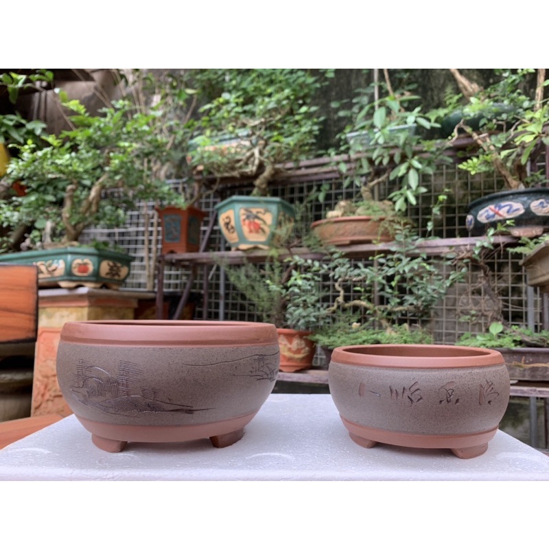 Chậu gốm tàu- Chậu trồng cây bonsai