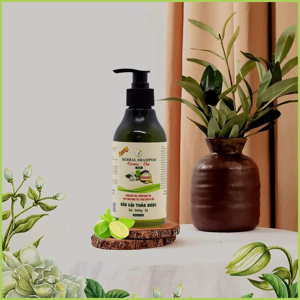 Dầu gội thảo dược cao cấp 3 trong 1, dầu gội thiên nhiên chăm sóc tóc mềm mượt - Chuẩn 100% | BigBuy360 - bigbuy360.vn