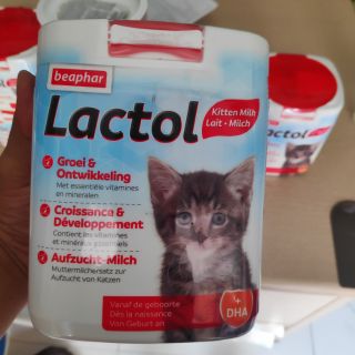 Sữa mèo con Lactol 250g Milk Baby Cat kitten mother cat mèo mẹ