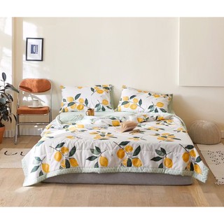 Bộ chăn ga gối cotton - chăn chần bông hè nhiều mẫu xinh phong cách Hàn Quốc