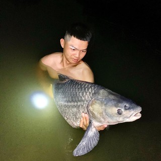 Mồi câu LK Hòa