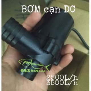 Bơm cạn không chổi than DC12v-DC24V
