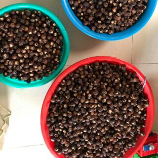 Combo quả  bồ hòn