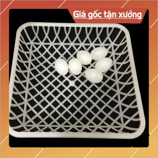 Ổ đẻ cho bồ câu bằng nhựa bộ 2 ổ