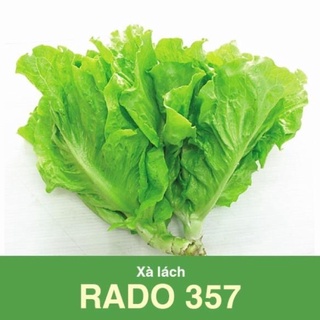 Hạt giống rau xà lách RADO 357