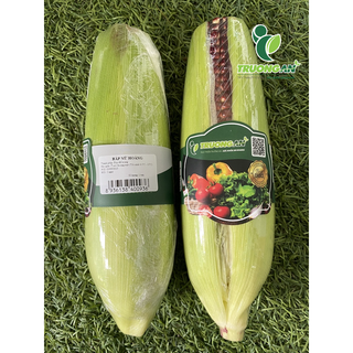 (Chỉ giao HCM) - TRÁI BẮP TÍM (BẮP NỮ HOÀNG)