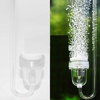 Đầu sủi oxy - cốc sủi oxy - đĩa sủi siêu mịn