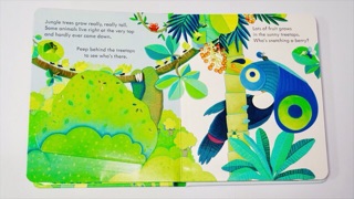 Sách Lật mở Peep Inside The Jungle Usborne