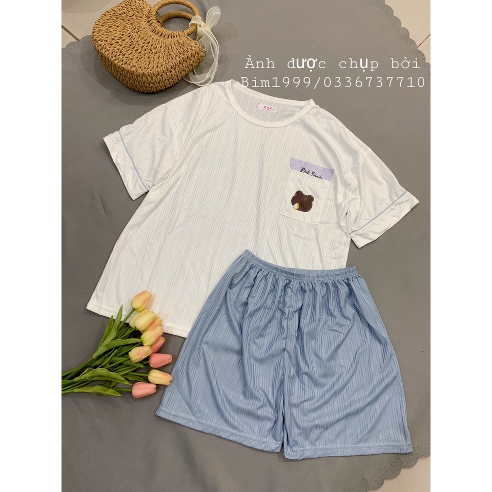 (Mẫu In) Bộ Mặc Nhà Bộ Đồ Cotton Gân Trẻ Trung Siêu Hót 2022 Túi Gấu Mẫu In