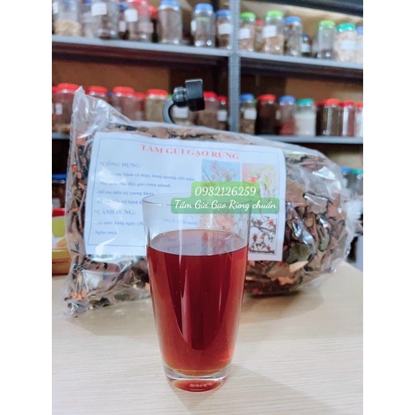 Tầm Gửi Gạo Tía Chuẩn Sịn (đền 100% nếu không chuẩn)