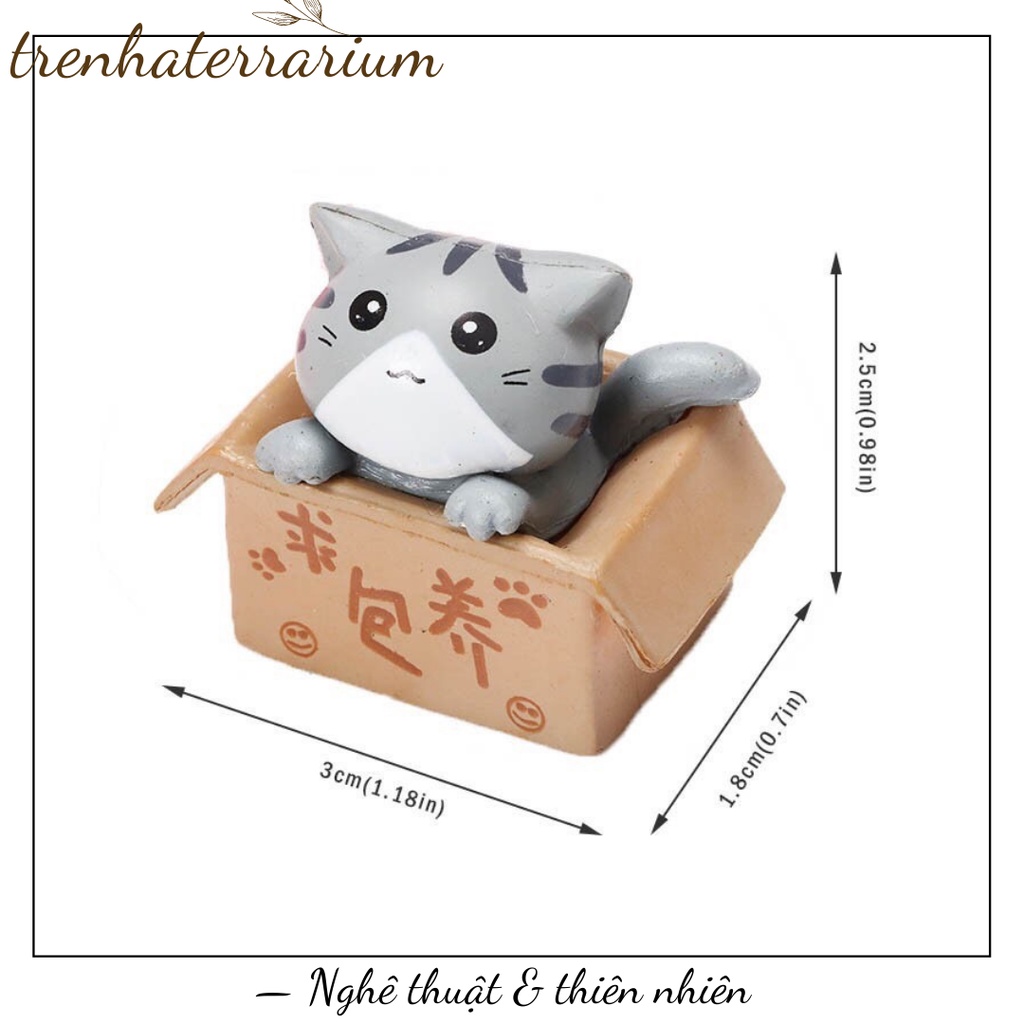 Tiểu cảnh mèo ngồi hộp trang trí sen đá, xương rồng, terrarium, charm slime, cây cảnh mini, cây để bàn, đồ trang trí