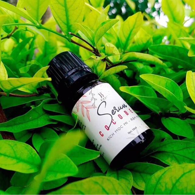 [KHUYẾN MÃI] SERUM DƯỠNG MI COCOBEO | BigBuy360 - bigbuy360.vn