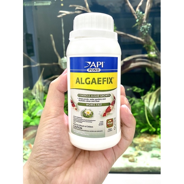 API Algaefix Pond (300ml) - Kiểm soát rêu tảo hại vượt trội