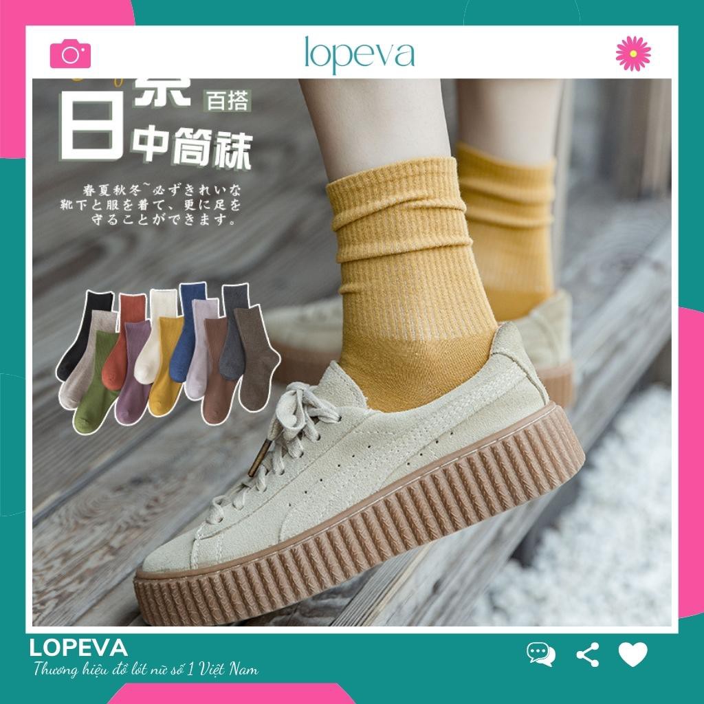 Tất Nữ Cổ Cao Style Hàn Quốc Vintage Cute Hoạt Hình Có Set 10 Đôi LOPEVA TV57