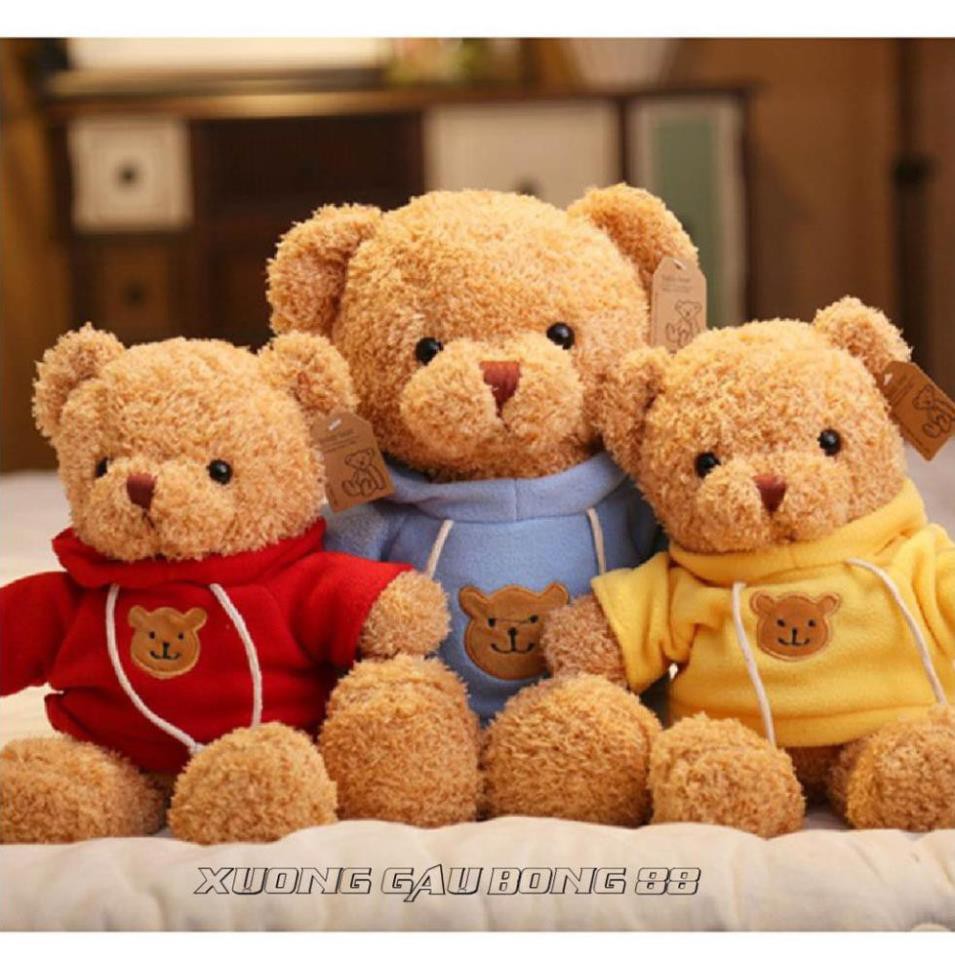 Gấu Bông Đồ Chơi cho bé Teddy Mặc Áo Hoodie Nhiều Màu Nhồi Gòn Cao Cấp Bao Xinh