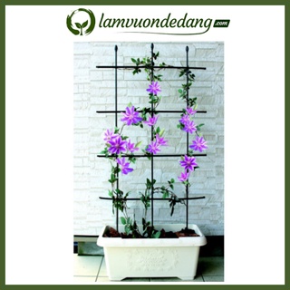 KHUNG ĐA CHỨC NĂNG DẠNG TRÒN BỤI cao 1m2 - Khung trồng cây giúp chống đỡ cho cây hoa hồng, cây leo