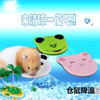 TẤM SỨ LÀM MÁT CHO HAMSTER