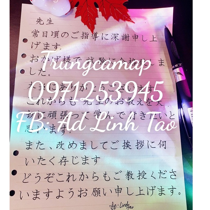 Bút Odemei Viết Tiếng Nhật Kanji bút viết chữ kanji đẹp có thanh đậm hiragana- ODMTL19