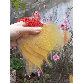 [set 3 lá]Lá bồ đề ép sẵn viết thư pháp