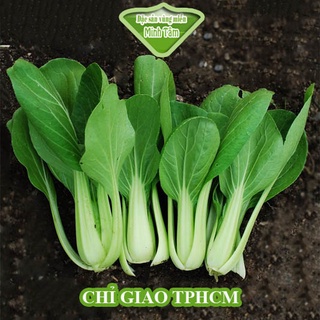 Cải thìa tươi ngon [CHỈ GIAO TP.HCM]