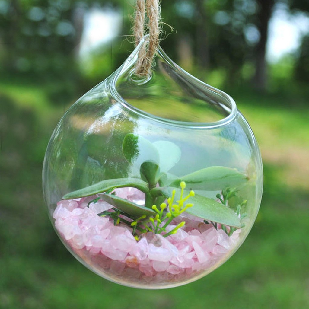 ✅[ Giao Ngay & COD]Chậu thủy canh thủy tinh Bình hoa Fairy Garden DIY Terrarium Container