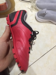 Giầy prowin size 29