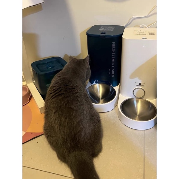 Máy thức ăn tự động Petkit Fresh Element Solo cho chó mèo