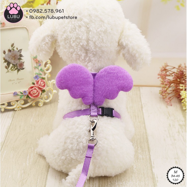 Dây dắt cánh thiên thần cho chó nhỏ